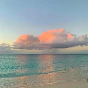 女子被迷昏全部视频
