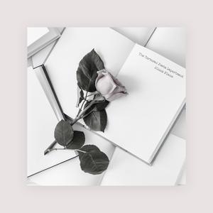 女子被迷昏全部视频
